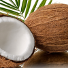 Pranamat ECO, NATURAL coconut fiber NATURAL coconut fiber
